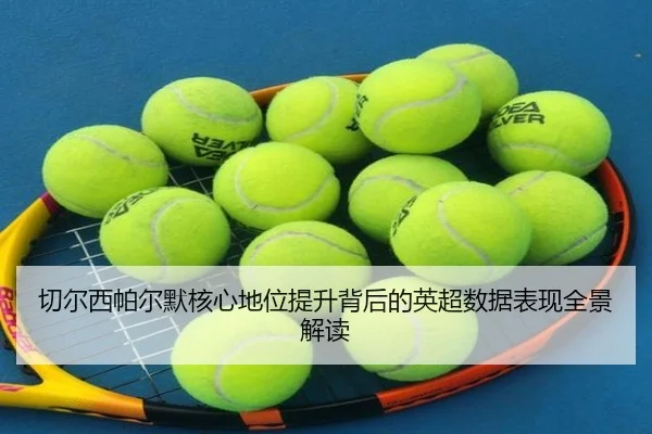切尔西帕尔默核心地位提升背后的英超数据表现全景解读